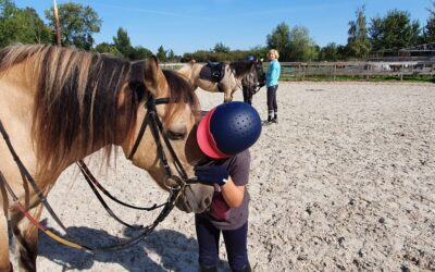 Interview Willemijn, Bergse Veld School van Horizon