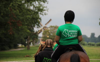 Werken als een Paard Vakantieschool