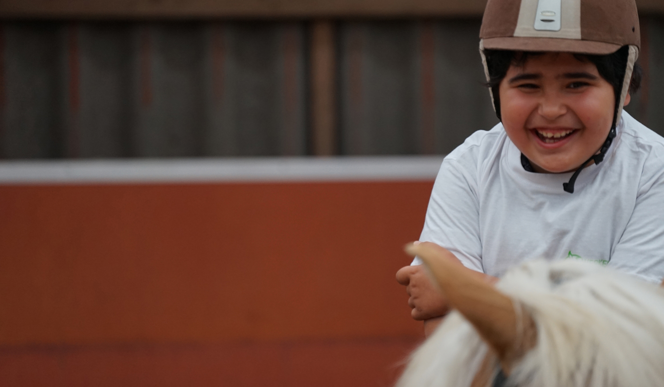 Werken als een Paard - Speciaal onderwijs