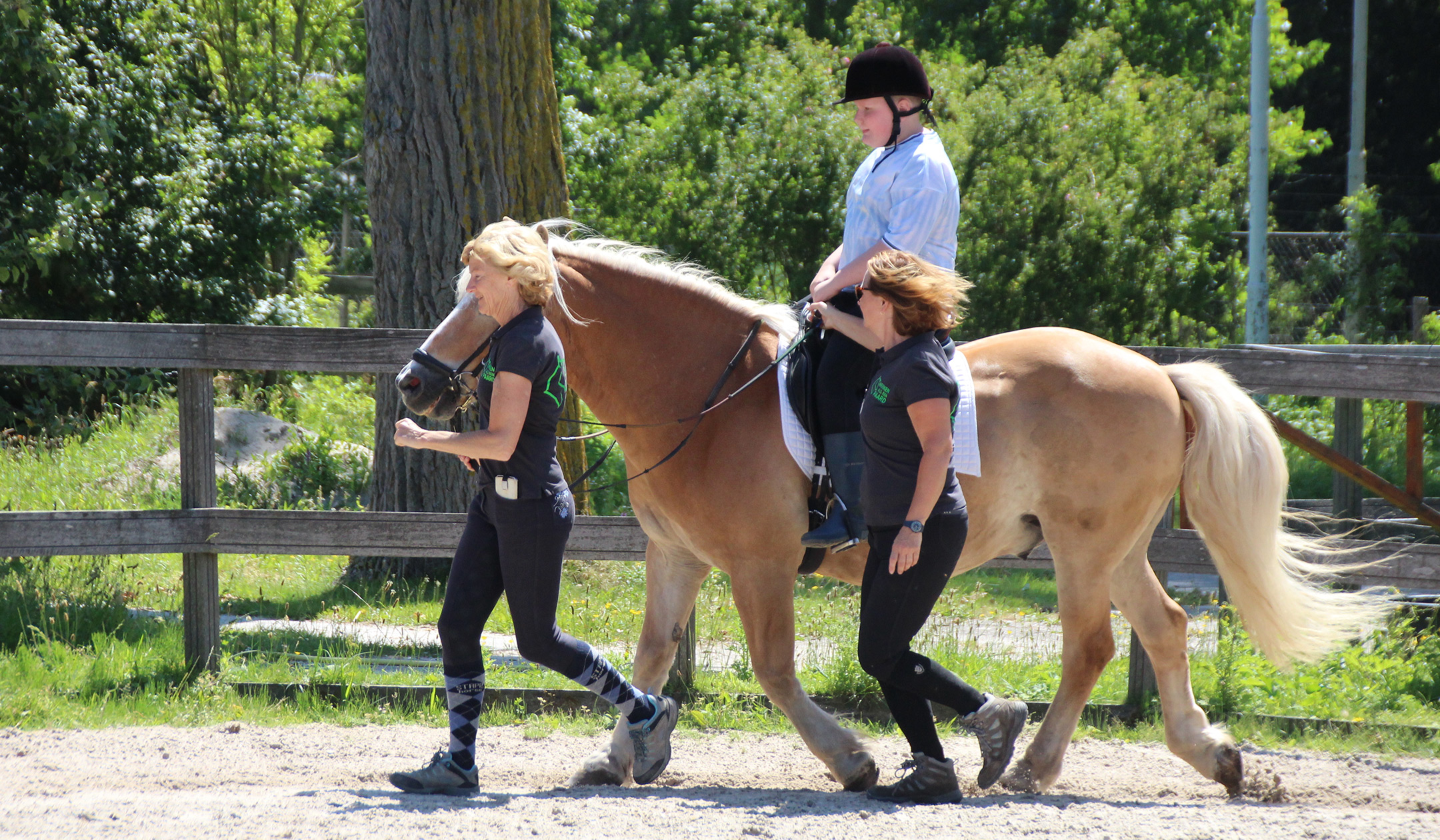 Werken als een Paard - Speciaal onderwijs