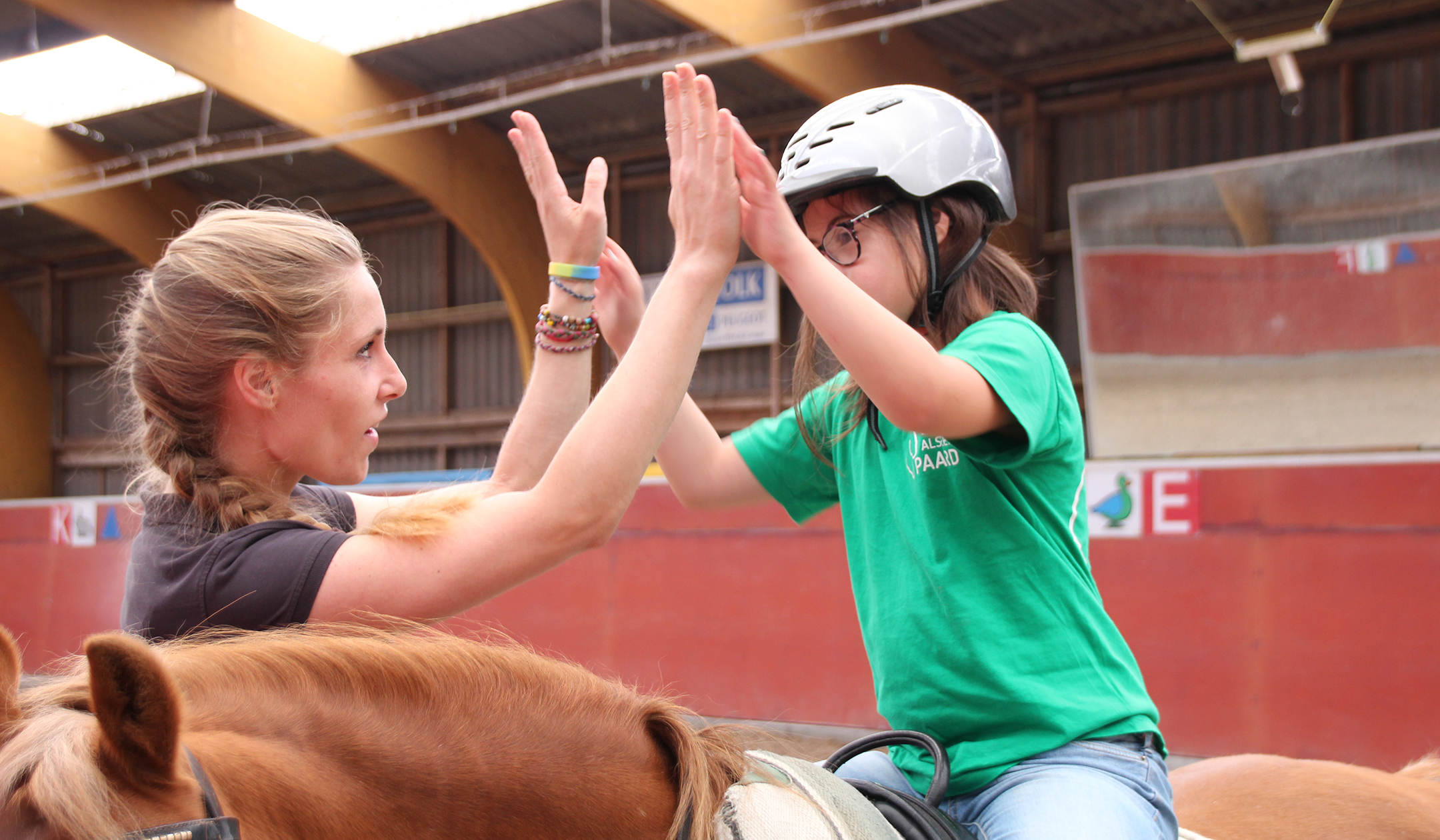 Werken als een Paard - Speciaal onderwijs