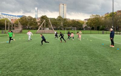 Werken als een Paard Na School