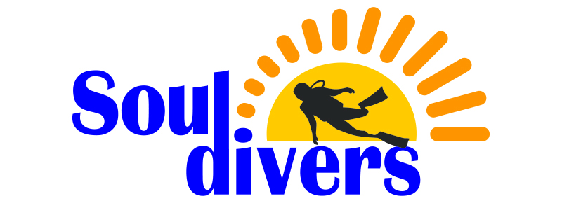 Soul Divers