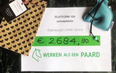 CHIO Rotterdam en Werken als een Paard stand